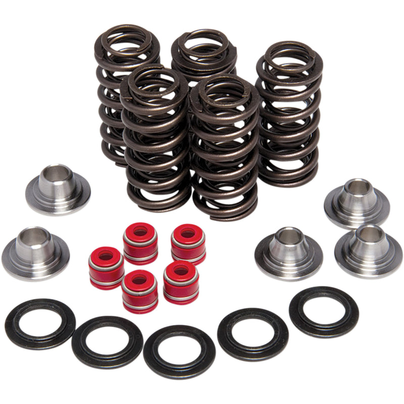 KIBBLEWHITE 0926-0095 80-80206 Valve Spring Kit