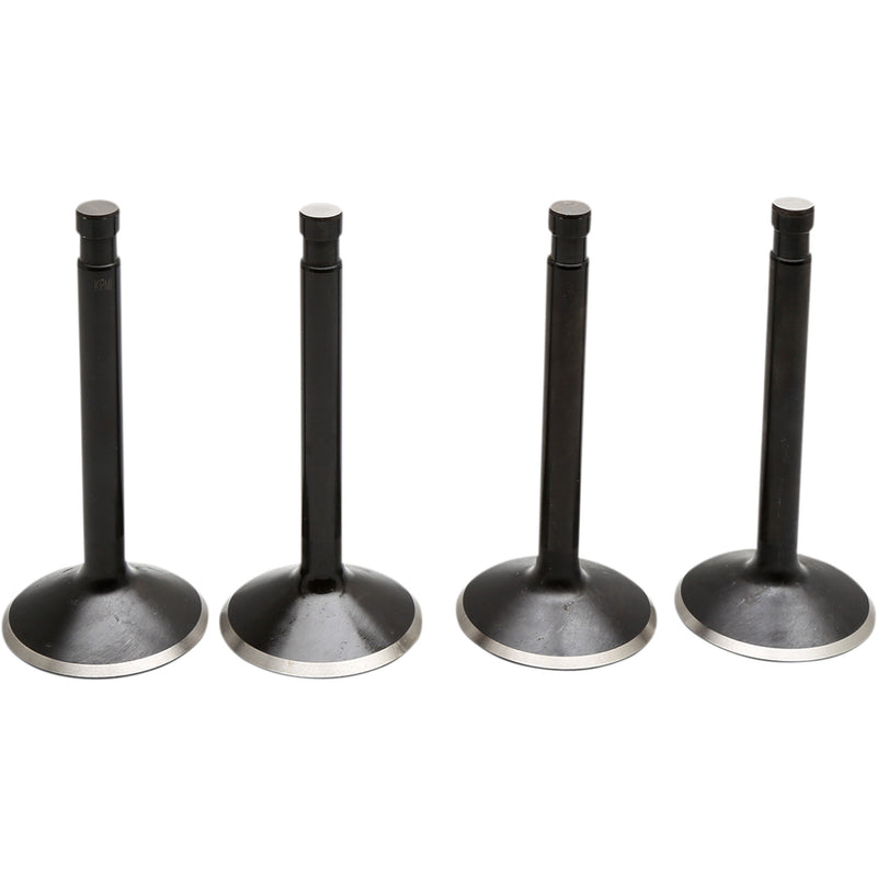 Kibblewhite Black Diamond™ Valve Kit - 20-22100 For Harley Touring 1948-1965