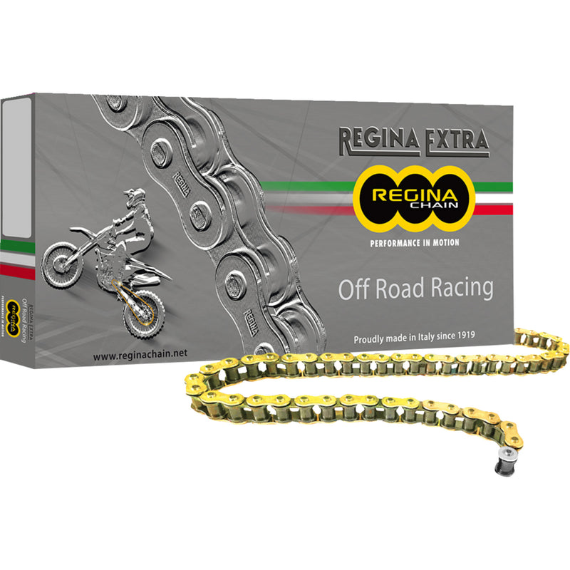 REGINA 1221-0170 135GPXV/001 520 GPXV Chain 520 GPXV - Drive Chain - 120 Links