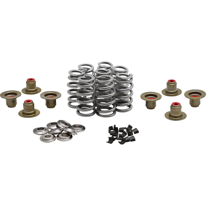 Kibblewhite Beehive Racing Spring Kit - 20-24350 For Harley Motorcycles 2017-2026