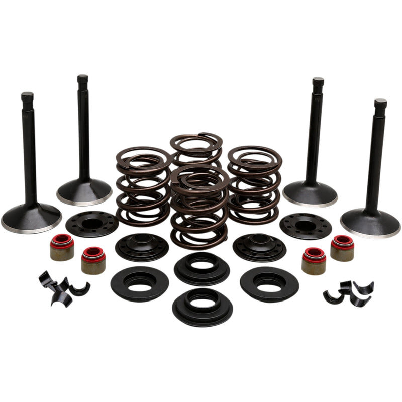 Kibblewhite Engine Kit - 20-22450 For Harley Motorcycles 1966-1977