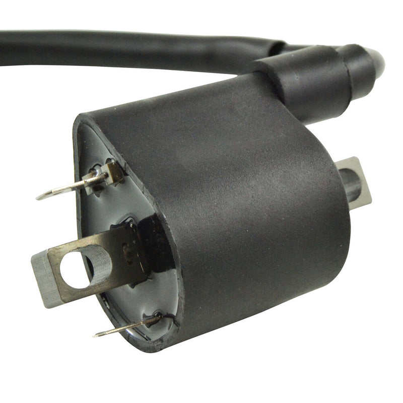 Rm Stator External Ignition Coil W Spark Plug CAP - RM06049 Yamaha Rhino / Viking 700 4x4 / Viking 2011-2018