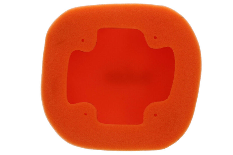 Twin Air 715-5800 155800 AIR FILTER