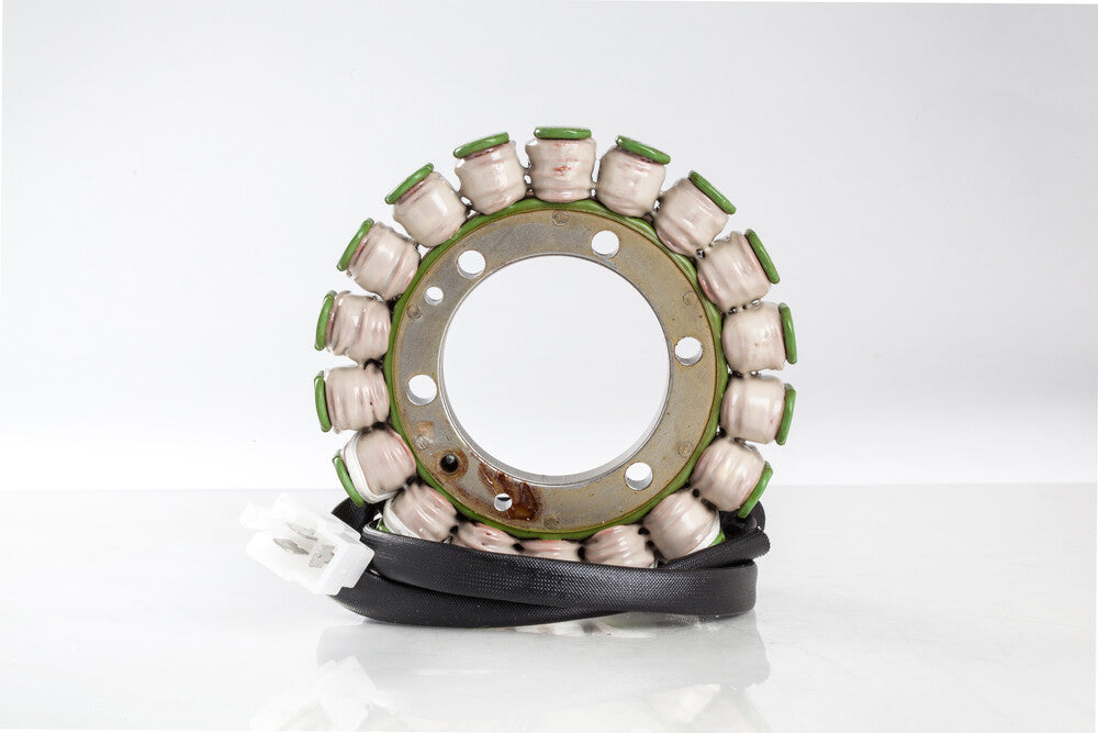 Rick's Motorsport Electric 27-21106 21-106 STATOR