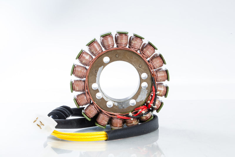 Rick's Motorsport Electric 27-21407 21-407 STATOR