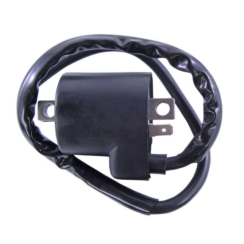 Rm Stator 97-0057 RM06035 EXTERNAL IGNITION COIL
