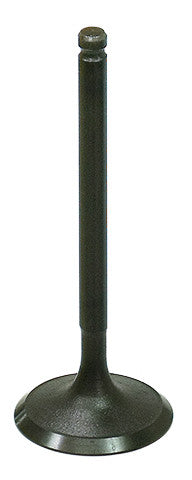 Bronco Intake Valve - AU-09213I Polaris RZR 2009-2018