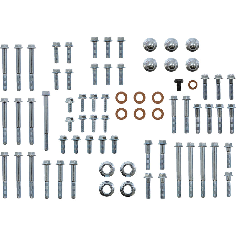 Bolt Engine Fastener Kit - E-R2-9600 Suzuki RM 250 1996-2000