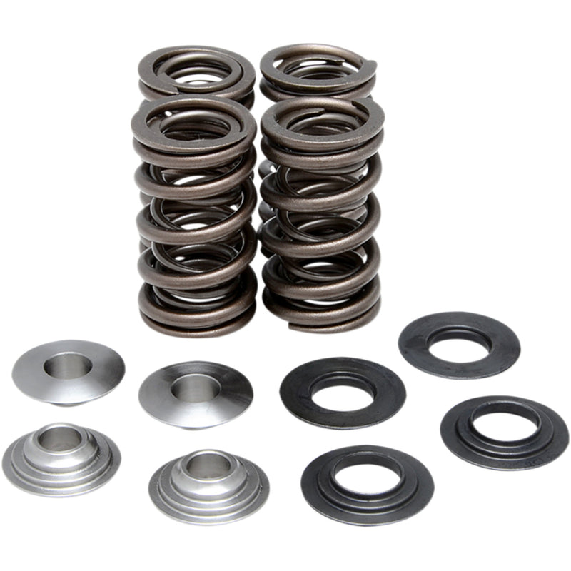 KIBBLEWHITE 0926-0250 80-80410 Valve Spring Kit