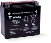Yuasa Battery YUAM32RBS Yuasa YTX20-BS Maintenance Free AGM 12-Volt Battery W/bottle - User 1
