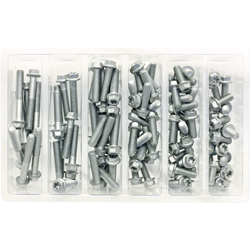 BOLT 2402-0236 SV-M6EURO Flange Bolt Assortment Bolt Assortment - Flange