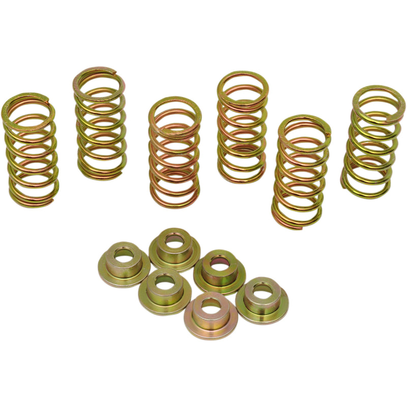 Barnett Spring Set - 505-45-06050 Ducati Motorcycles 1994-2008