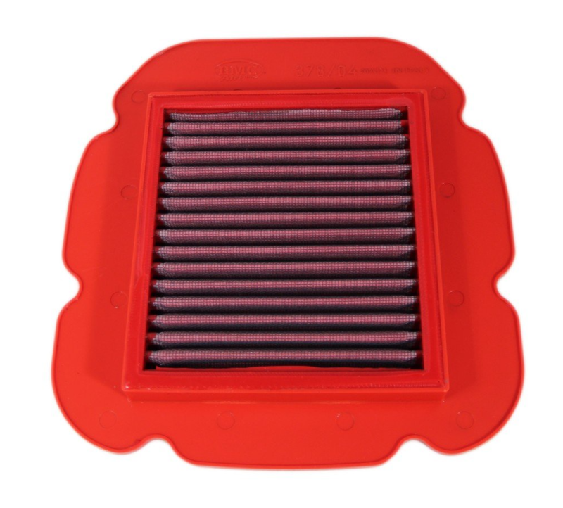 BMC FM378/04 04-05 Kawasaki KLV 1000 Replacement Air Filter - User 1