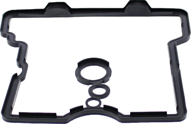 QuadBoss 570111 16-19 Polaris ACE 570 Valve Cover Gasket - Photo - Primary