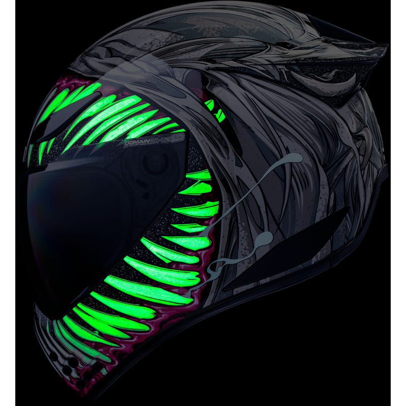 ICON Domain™ Helmet