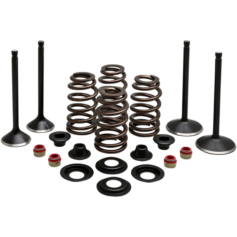 Kibblewhite Black Diamond™ Engine Kit - 20-22850 For Harley Sportster 1988-2003