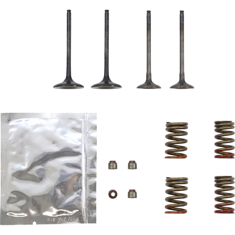 Wiseco Garage Buddy Valve Kit - SVKB4341 Kawasaki KX 250 2011-2016