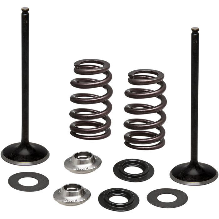 KIBBLEWHITE 0926-3093 96-96540 Stainless Steel Conversion Valve and Spring Kit Spring Kit - Intake Only