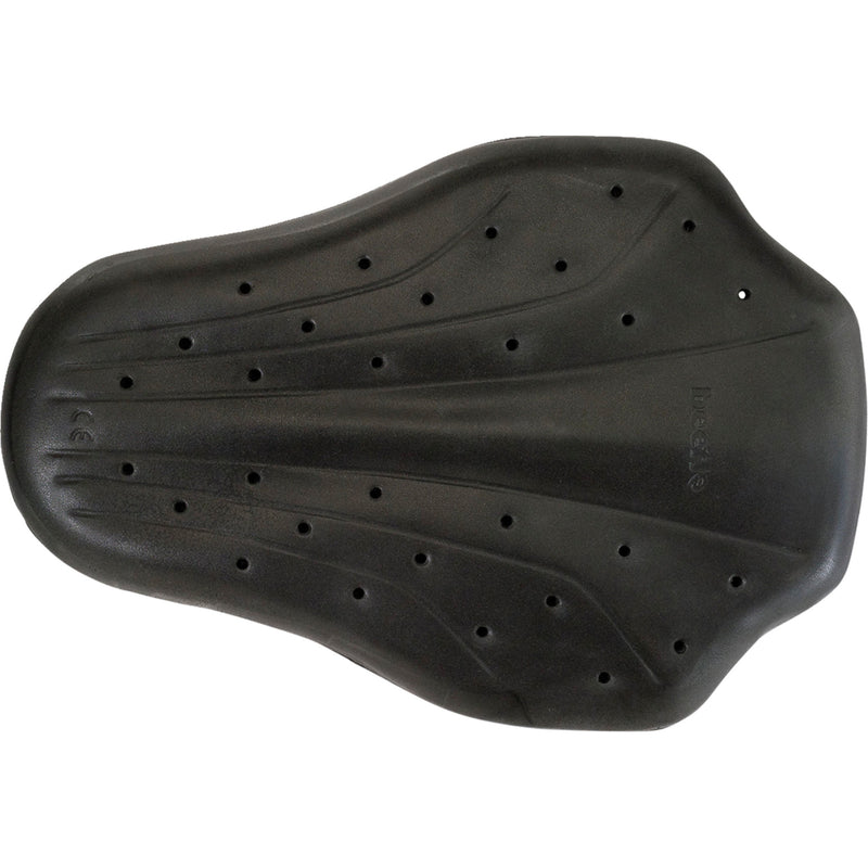 Z1R Back Guard Black