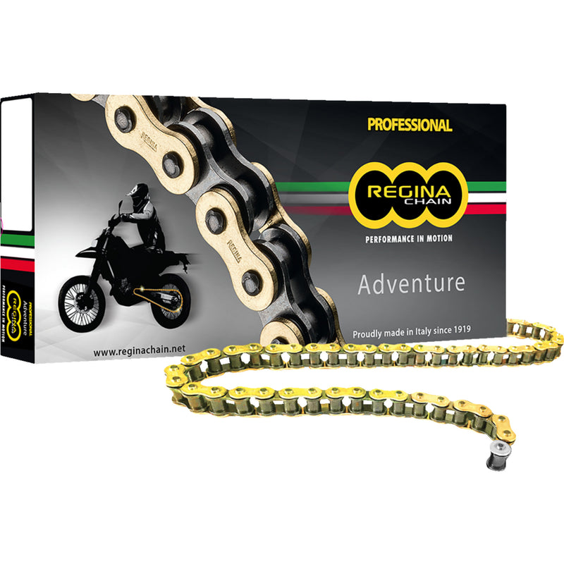 REGINA 1224-0125 135ZRE/1008 520 ZRE Z-Ring Chain 520 ZRE - Z-Ring Chain - 120 Links