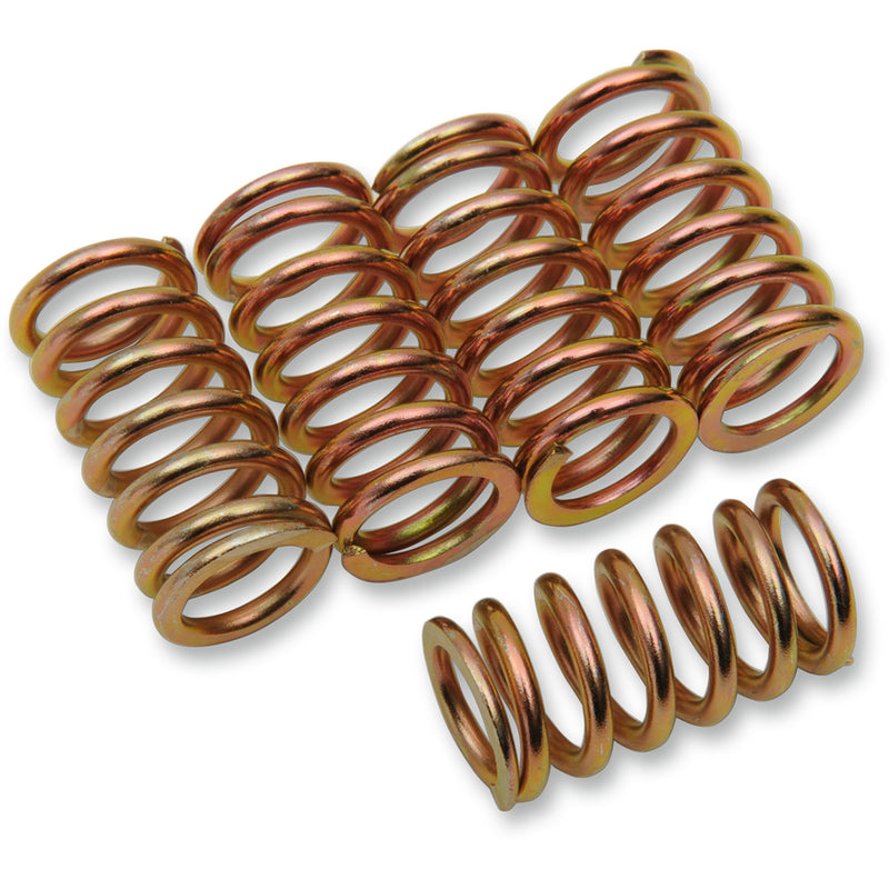 Barnett Spring Set - 501-56-05015 Suzuki 1000S 1997-1998
