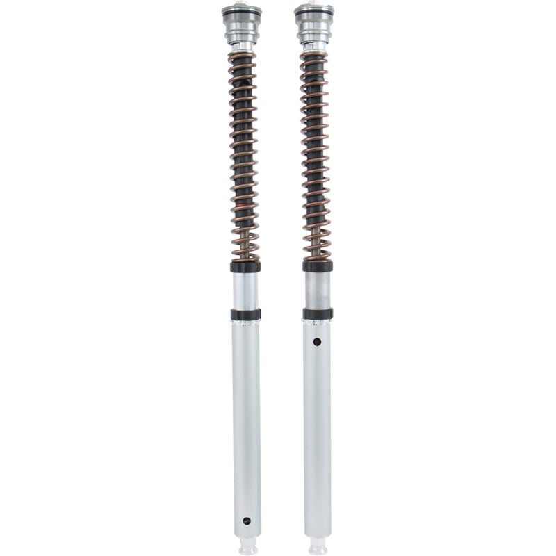Ohlins NIX 30 Cartridge - FGK 236 BMW 1200 / R1200RS / R1200R 2015-2018