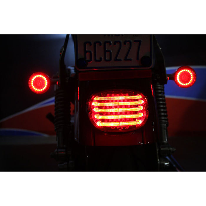 Custom Dynamics Targa LED Per Moto – Raggio Nero, Modello Radius LP, Telaio Porta Targa Con Luci