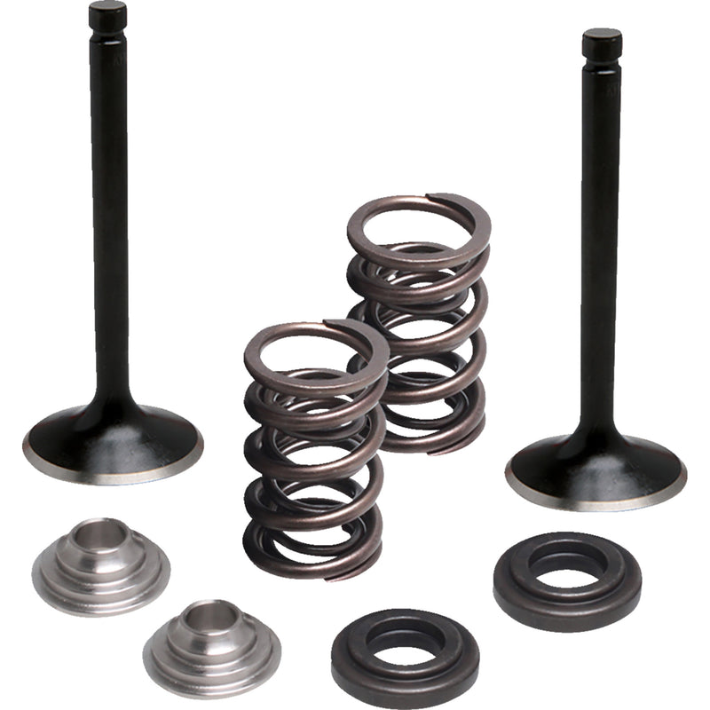 Moose Offroad Valve And Spring Kit - 0926-3478 Yamaha Raptor 2001-2005