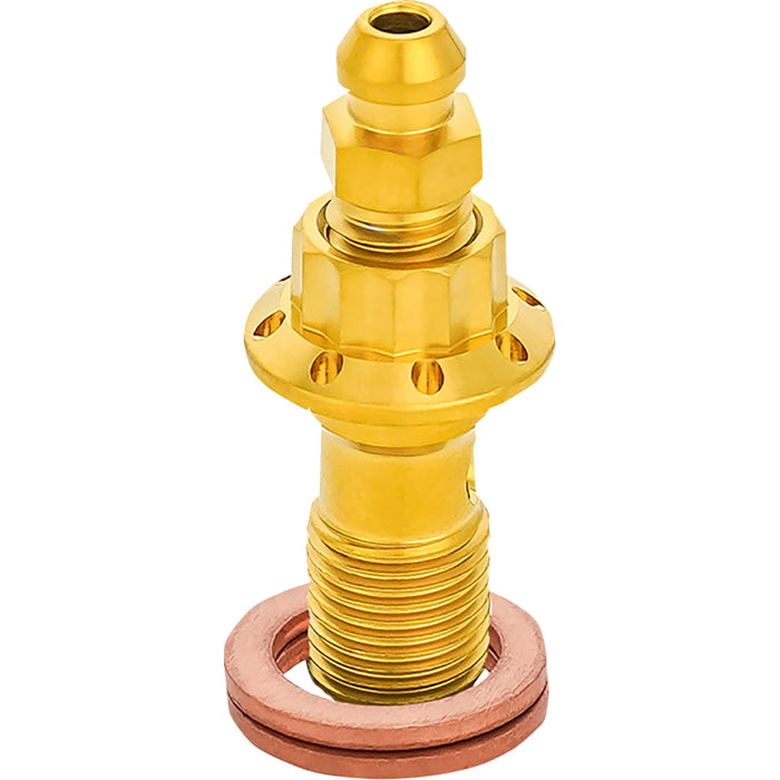 ARLEN NESS 1742-0775 300-823 Titanium 12-Point Banjo Bolt Banjo Bolt with Bleeder - 10mm - Gold