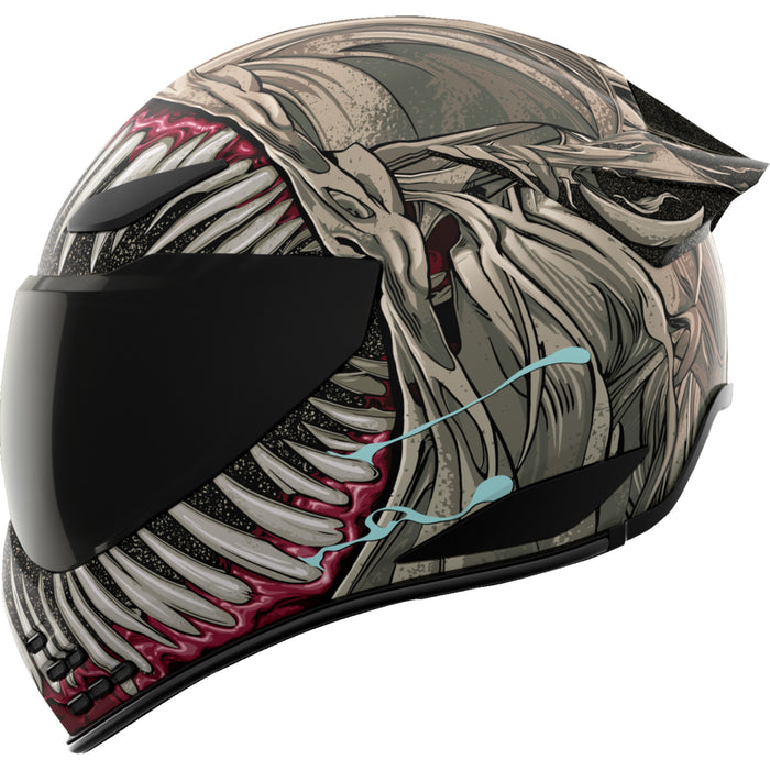 ICON Domain™ Helmet