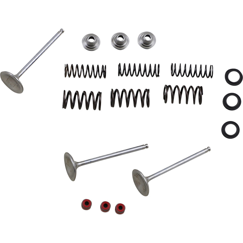 MOOSE OFFROAD 0926-2459 M80-80950 Stainless Intake Valve and Spring Kit Intake Valve Kit