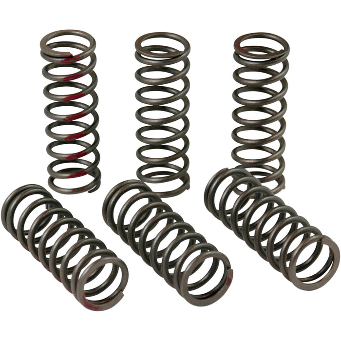 PRO CIRCUIT 1131-2428 CSH13450-CS Clutch Spring Set Clutch Springs - CRF 450R