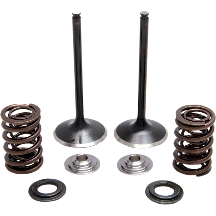 KIBBLEWHITE 0926-2979 30-31230 Stainless Steel Conversion Valve and Spring Kit Spring Kit - Stainless Steel