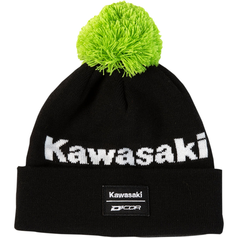 D'COR VISUALS 2501-3909 70-134-1 Stripe Beanie kawasaki  - black