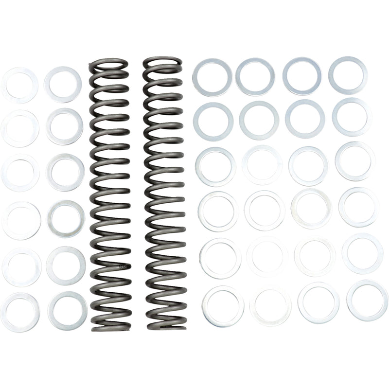 Race Tech Spring - FRSP S3825120 For MV Agusta 675 / 800 2013 | Ducati Sport 1000 2006