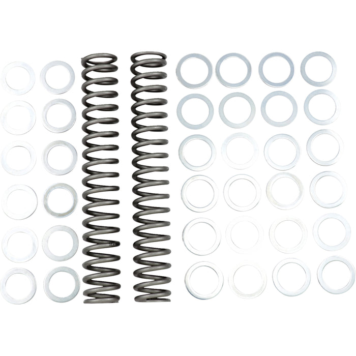 RACE TECH 0405-0144 FRSP S3825120 Fork Springs — 67.20 lb/in Fork Springs - 1.20 kg/mm