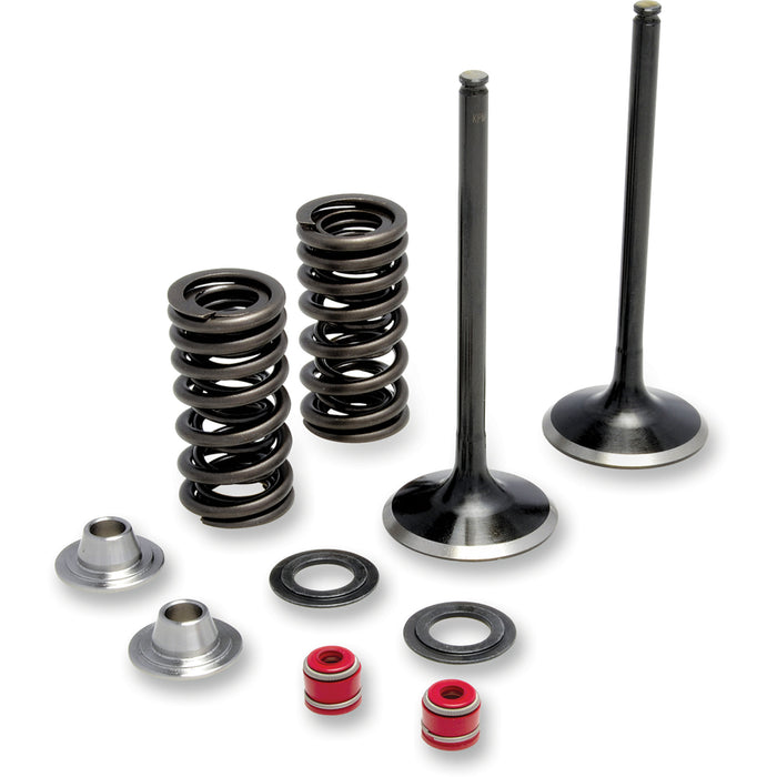 MOOSE OFFROAD 0926-2432 M30-31500 Stainless Intake Valve and Spring Kit Intake Valve Kit