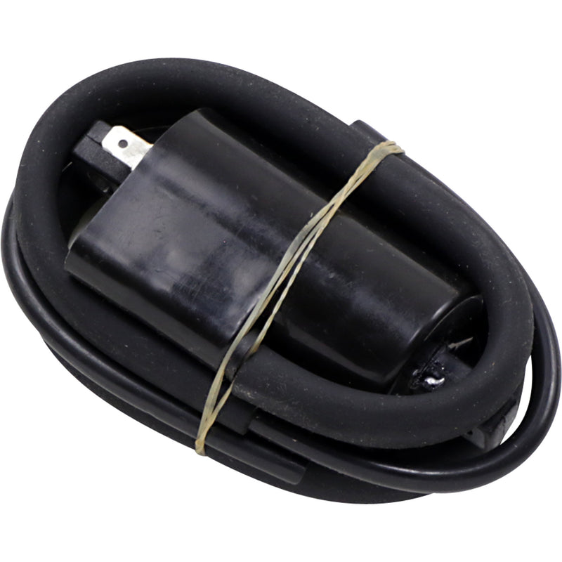 RICK'S MOTORSPORT ELECTRIC 2102-0404 23-302 Coil ignition  - suzuki