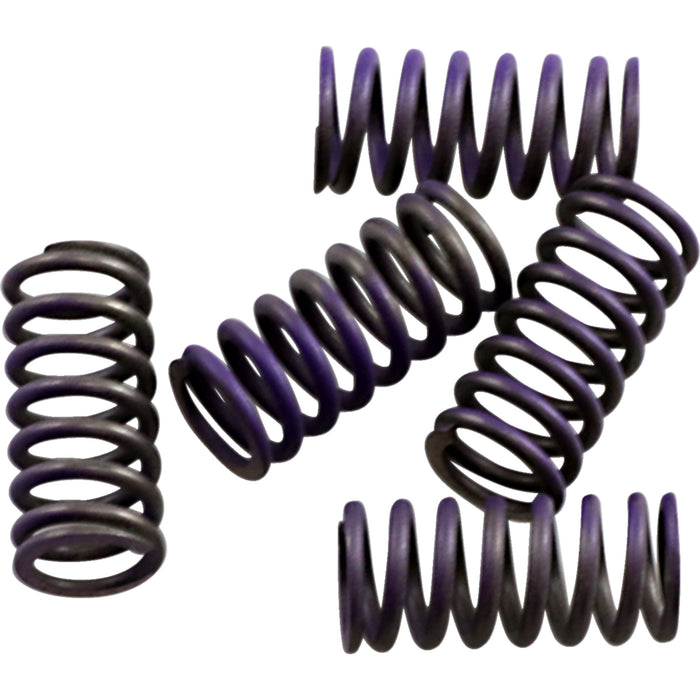 HINSON RACING 1131-1945 CS341-5-0311 Hi-Temp Clutch Spring Kit Clutch Spring Kit