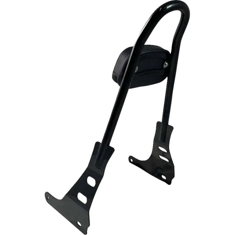 Motherwell Sissy Bar - MWL-220-GB. For Harley Sportster 2022-2024