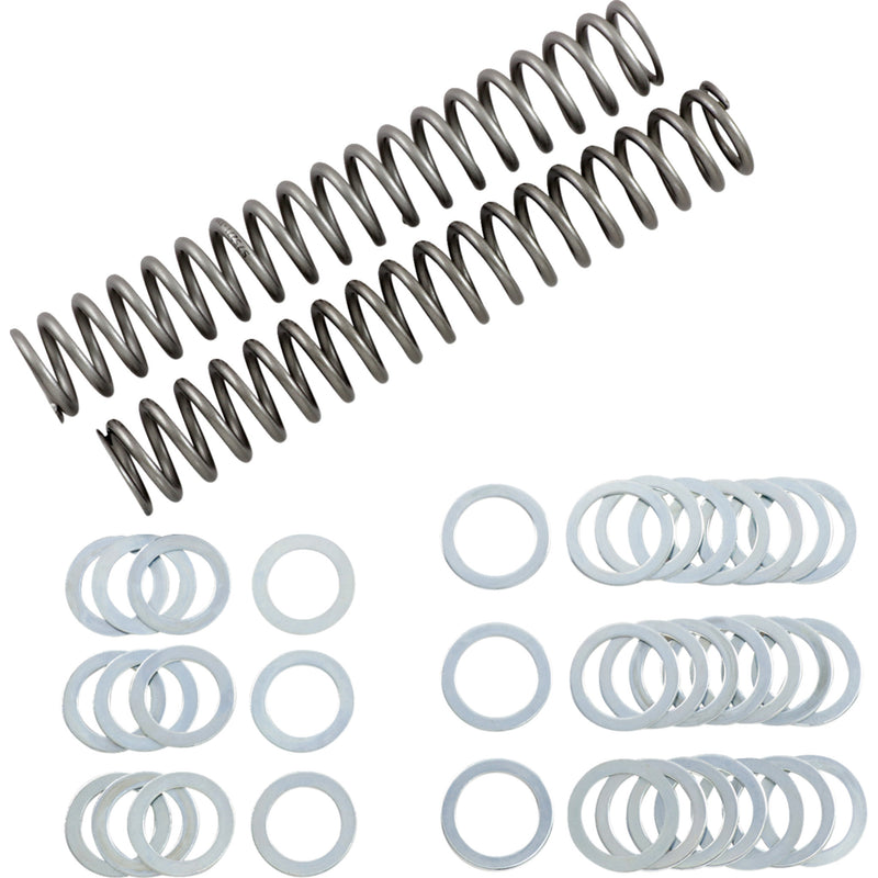 Race Tech Spring - FRSP S3825110 For MV Agusta 675 / 800 2013 | Ducati Sport 1000 2006