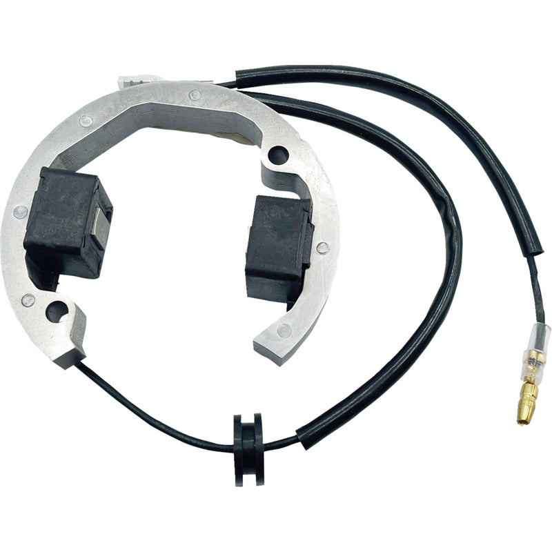 Rick's Motorsport Electric Stator - 21-0093 Husqvarna TC 50 2017-2023