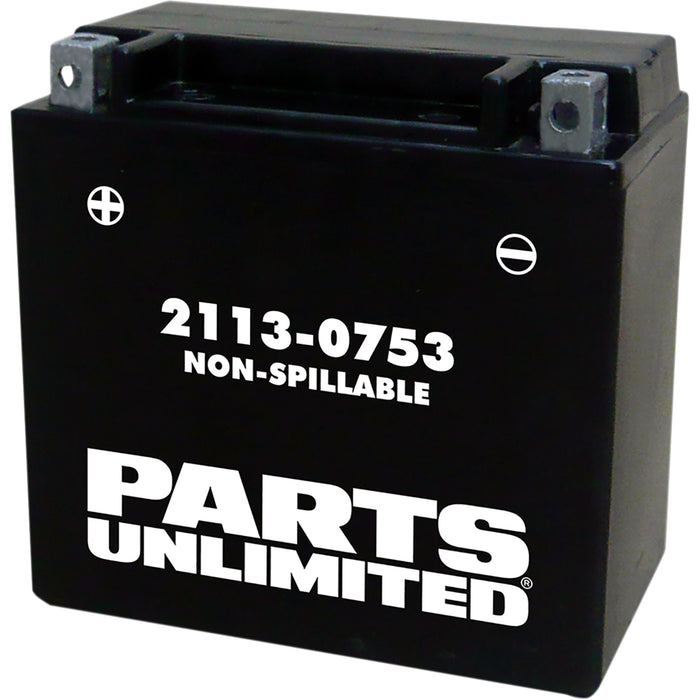 PARTS UNLIMITED 2113-0753 AGM Maintenance-Free Battery AGM Battery - YTX14