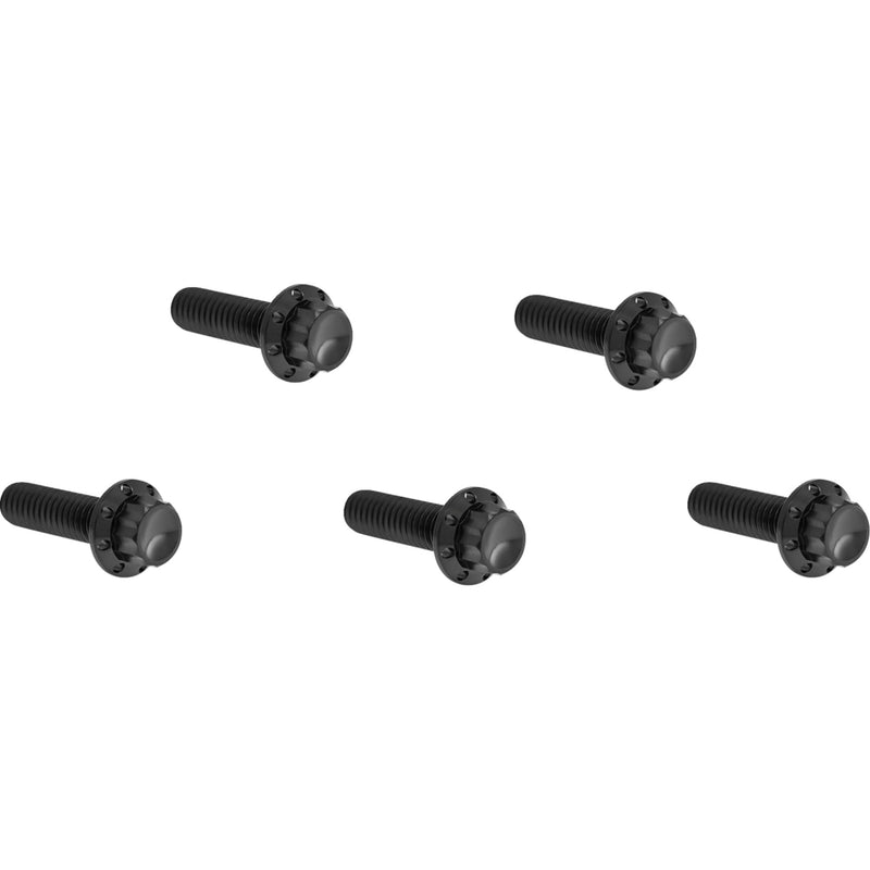 ARLEN NESS 2401-1791 300-924 12-Point Derby Cover Bolt Kit Bolt Kit - Derby Cover - 12-Point - Titanium - Black