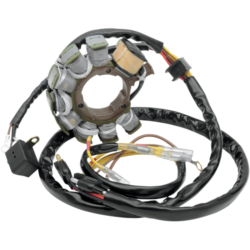 RICK'S MOTORSPORT ELECTRIC 2112-0339 21-554 Stator for Polaris Stator
