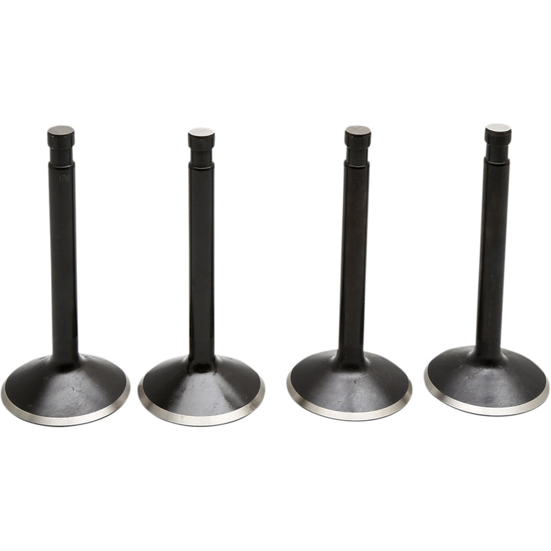 Kibblewhite Black Diamond™ Valve Kit - 20-22000 For Harley Touring 1936-1947