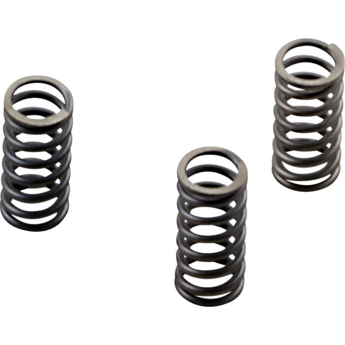 EBC 1131-3294 CSK236 CSK Series Heavy Duty Clutch Spring Kit Clutch Springs - M8