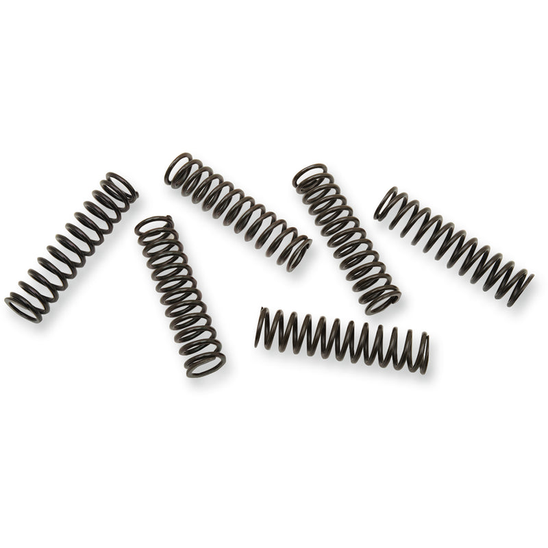 Barnett Spring Set - 501-50-06116 Kawasaki Ninja 2000-2005