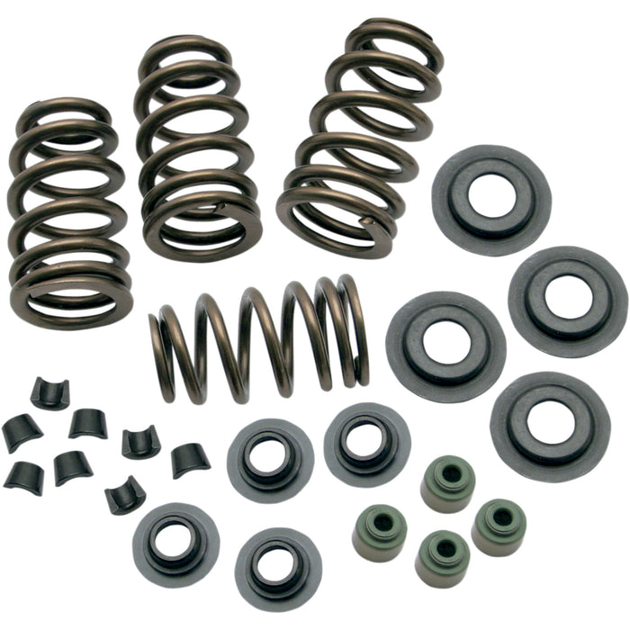 S&S CYCLE 0926-2069 106-5909 Sidewinder® .650" Valve Spring Kit - Valve Springs - .650" - Twin Cam