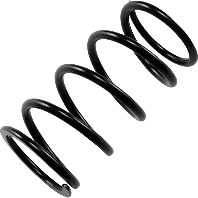 EPI PS-4 PS-4 Primary Clutch Spring Primary Spring